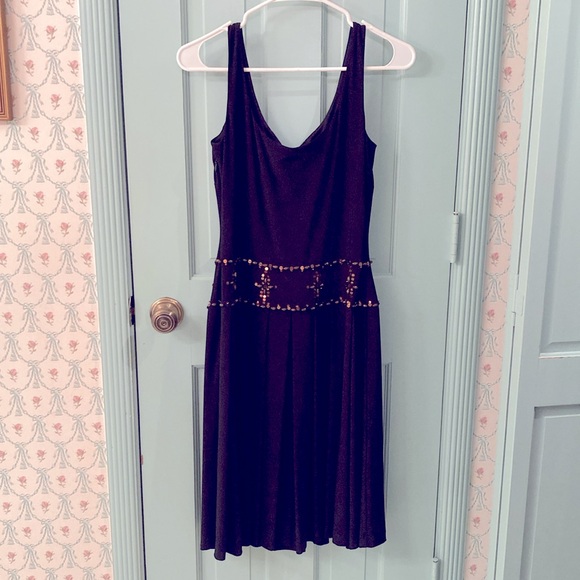 NWT Talbots Beaded Drop-Waist Pleated Dress, size 4 Petite - Picture 2 of 4